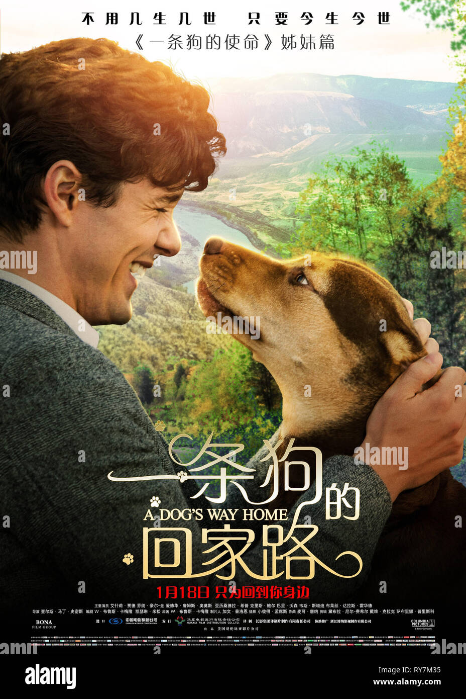 A Dogs Way Home Stock Photos A Dogs Way Home Stock Images