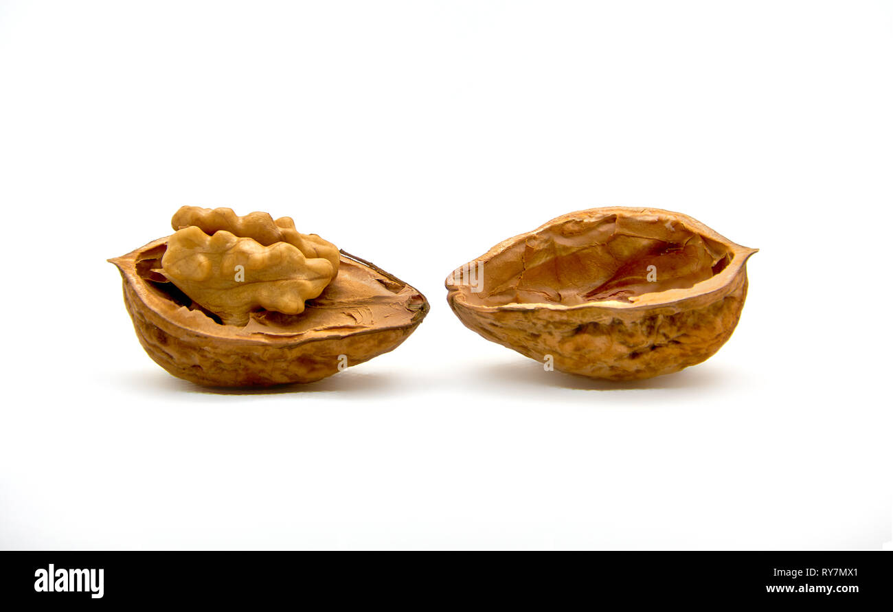 open walnut isolated Stock Photo - Alamy