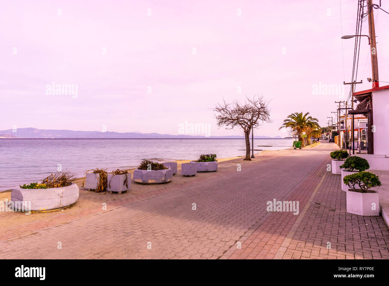 pefkochori-promenade-street-palm-trees-with-sandy-beach-shore-sea