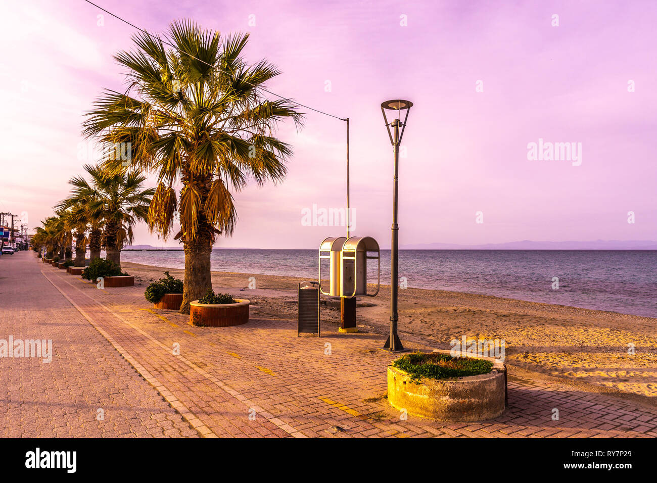 pefkochori-promenade-street-palm-trees-row-and-phone-booth-with-sandy