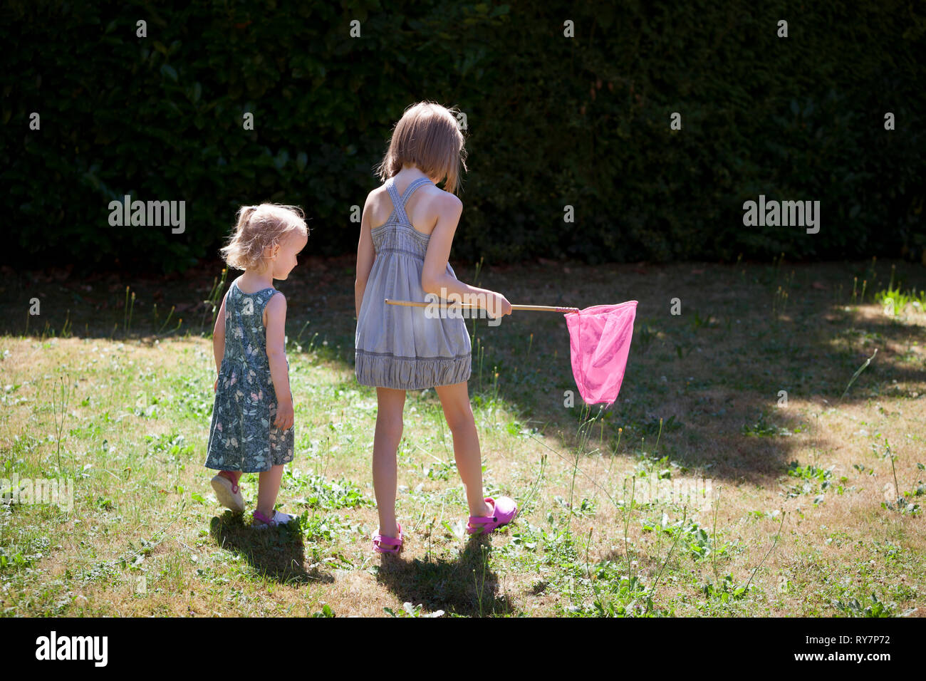 Two children in a back yard hunting for butterflies with a butterfly net Stock Photo