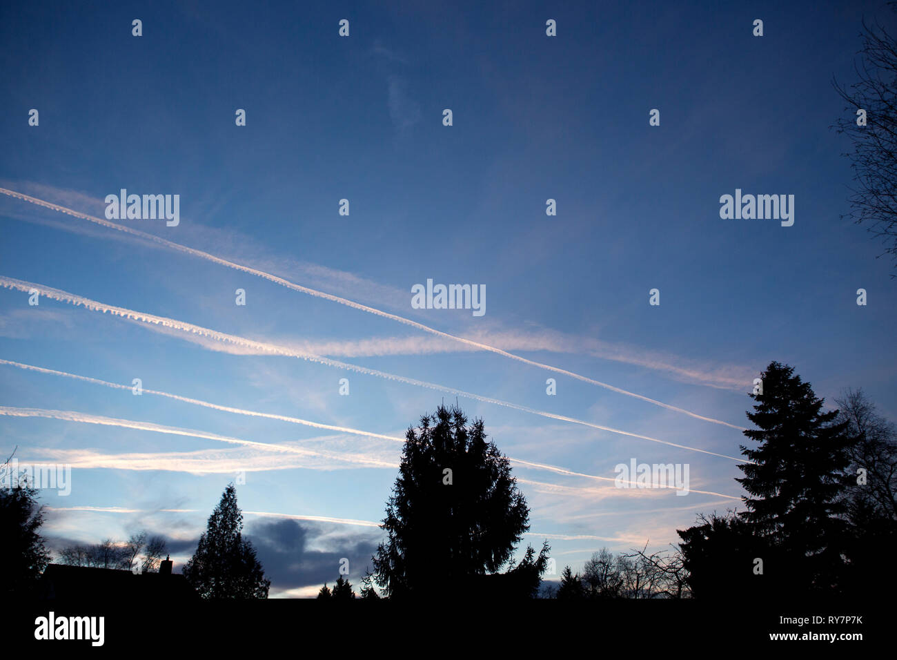 Several contrails left in clear blue sky by aircraft Stock Photo