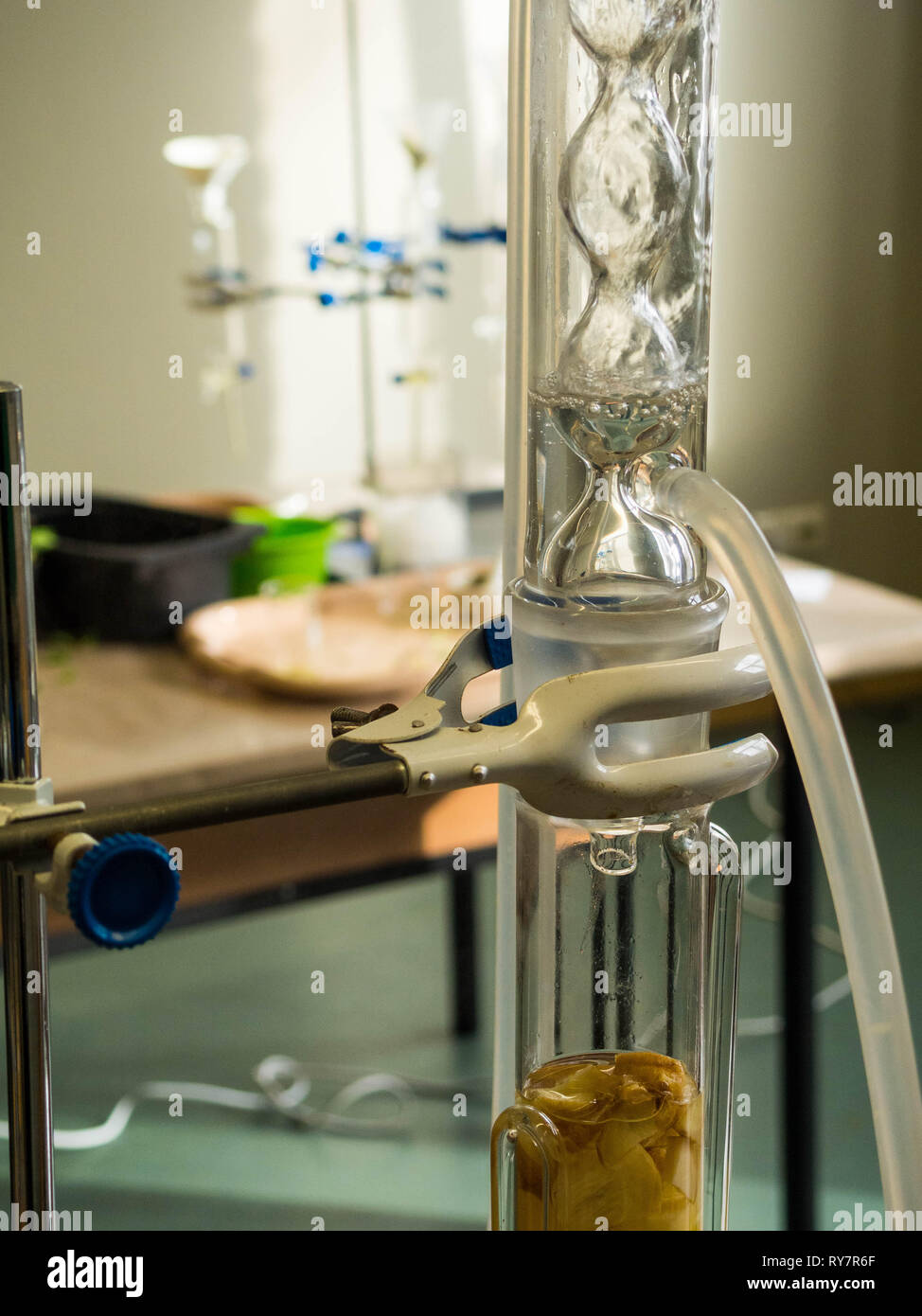 Researcher Distilling science glass bottle, Distilling plant for chemical analysis Stock ...