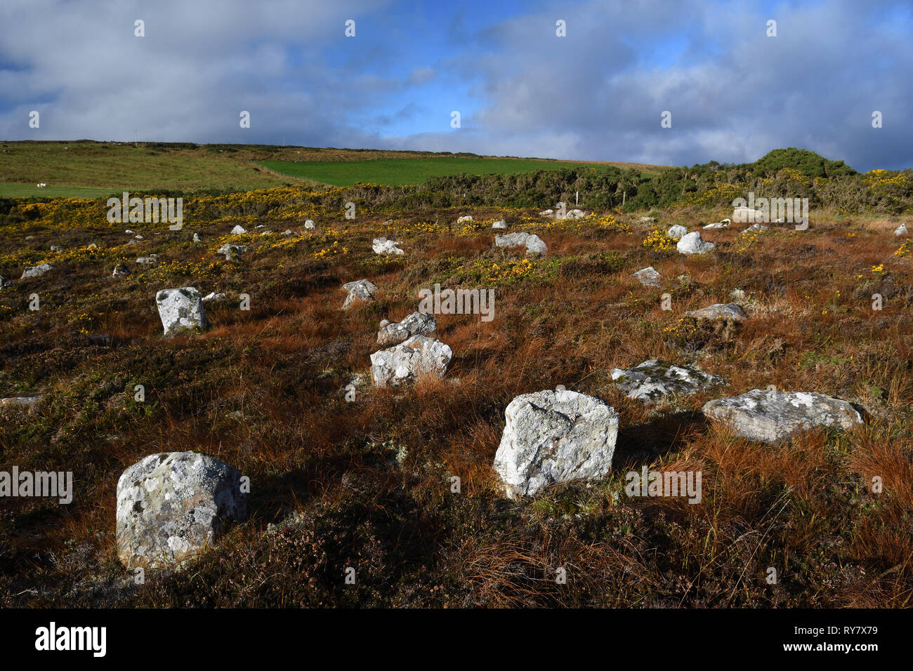 hill o'many stanes;stone row;mid-clyth;caithness;scotland Stock Photo