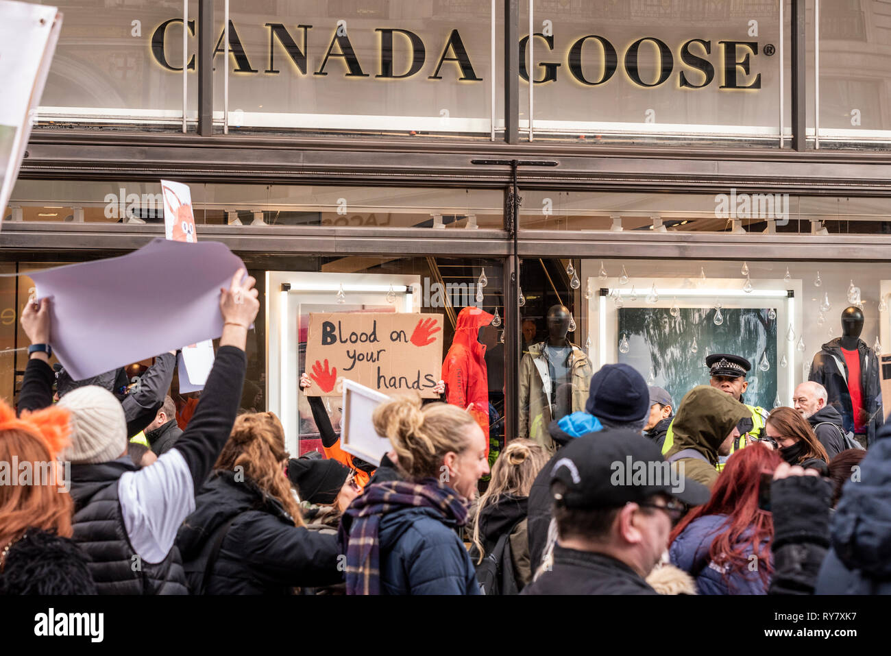 Protest march to demonstrate against the lack of enforcement of the fox hunting ban in the UK Protesters demonstrate against Canada Goose as they pass Stock Photo