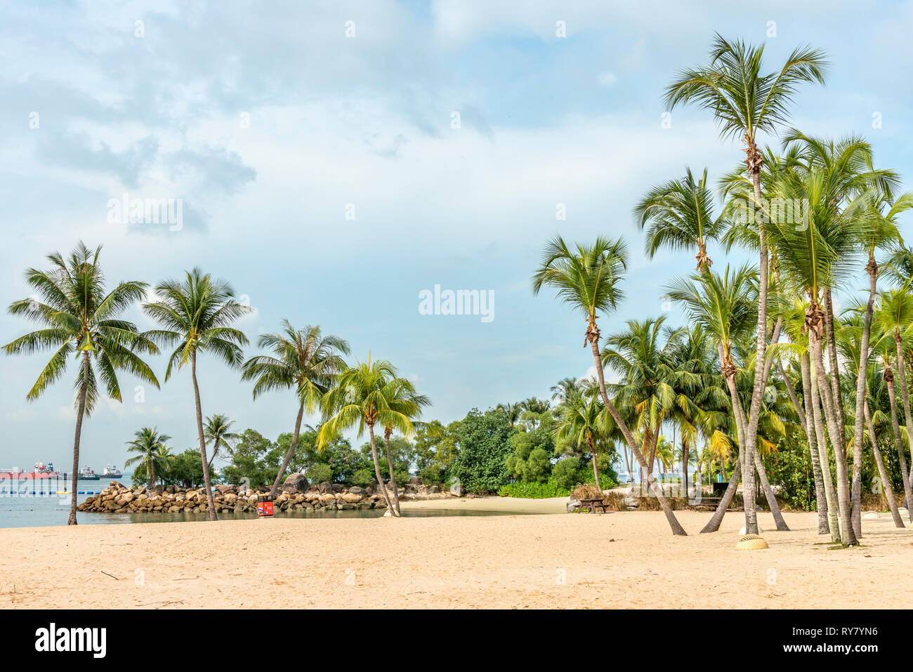 Palm trees at Palawan Beach on Sentosa Island, Singapore Stock Photo