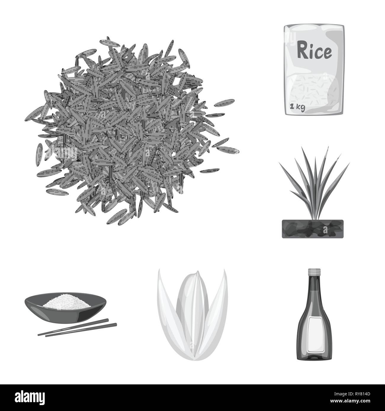 Panicle rice plant Stock Vector Images - Alamy