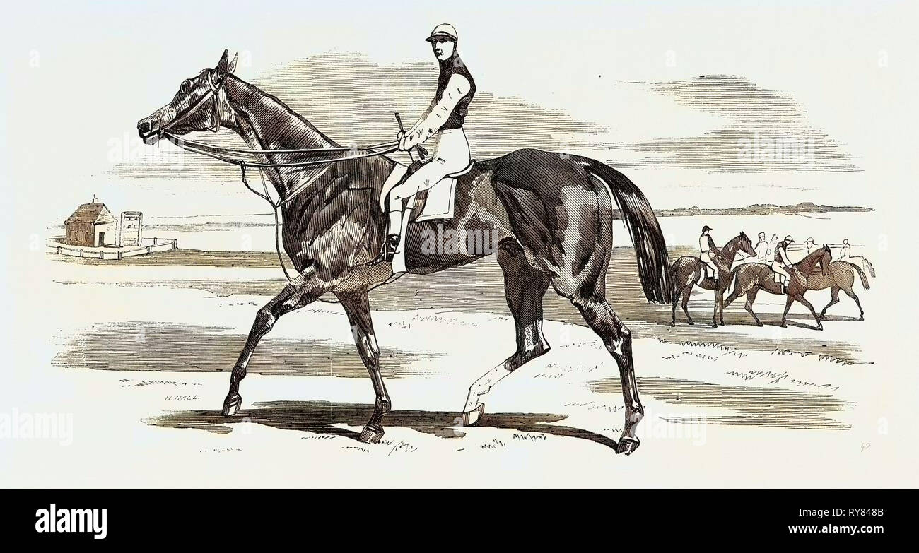 Odd Trick the Winner of the Cambridgeshire Stakes at Newmarket 1857 Stock Photo