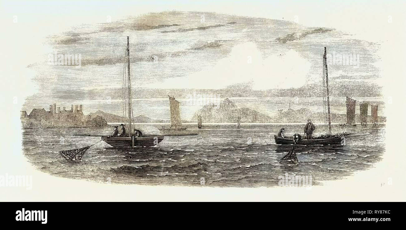 The Shellfish Supplies: Oyster-Boats Dredging Off Prestonpans 1862 Stock Photo