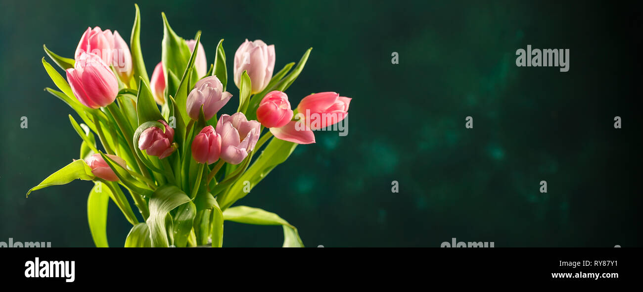 Bouquet of pink and lilac tulips in a glass vase on dark green background. Long wide banner. Free space for text Stock Photo