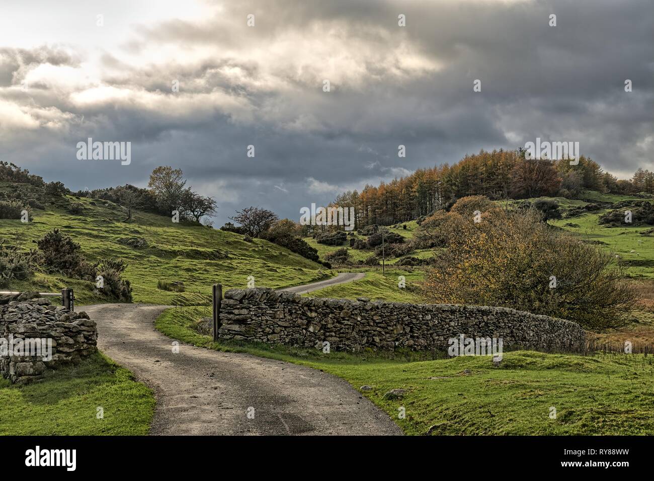 A winding country road passing through Rural autumn meadow and trees. Stock Photo