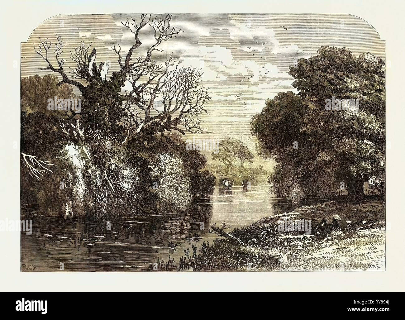 View in Tichborne Park Alresford Hants. 1871 Stock Photo Alamy