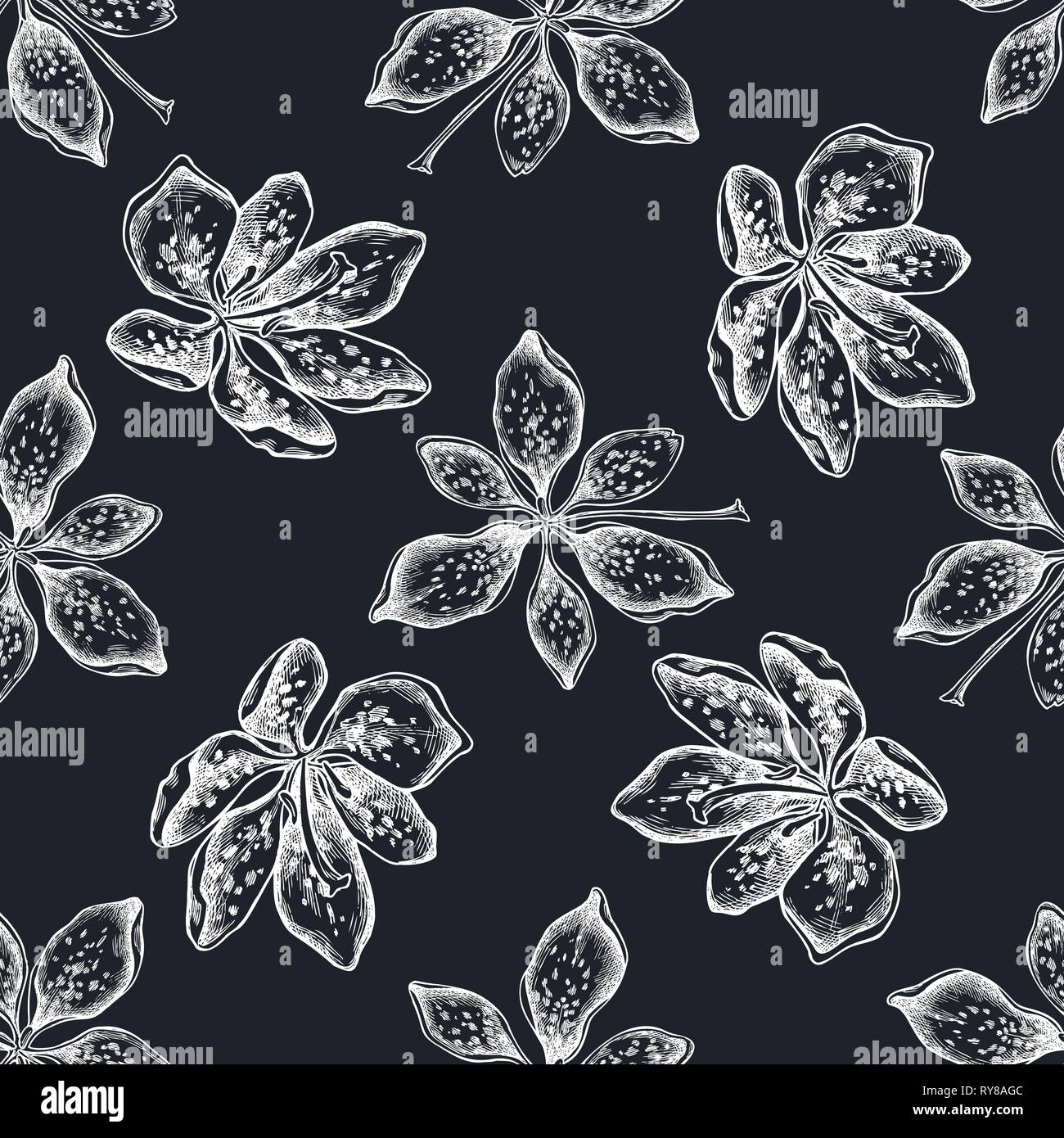 Seamless pattern with hand drawn chalk blackberry lily Stock Vector