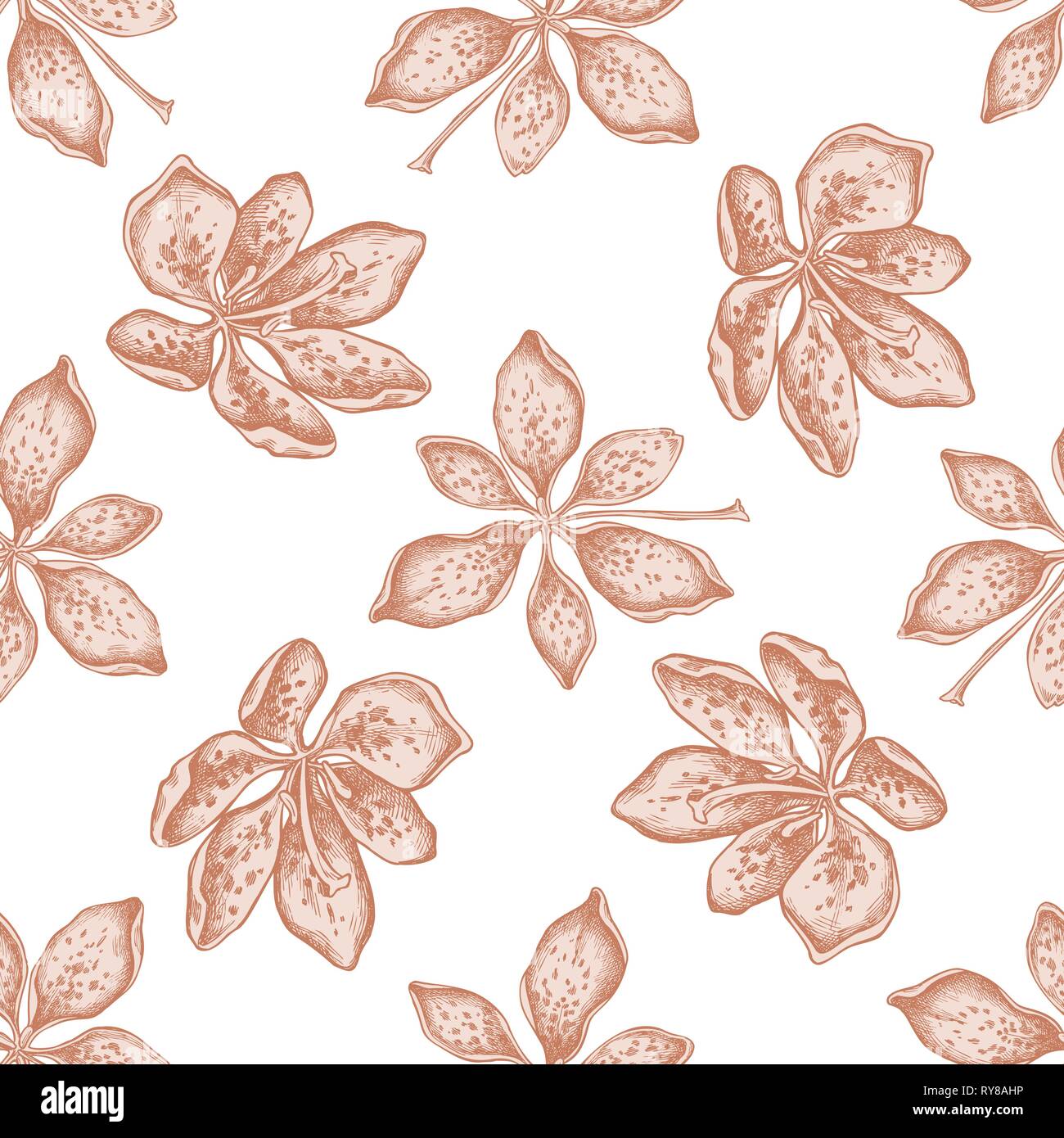 Seamless pattern with hand drawn pastel blackberry lily Stock Vector