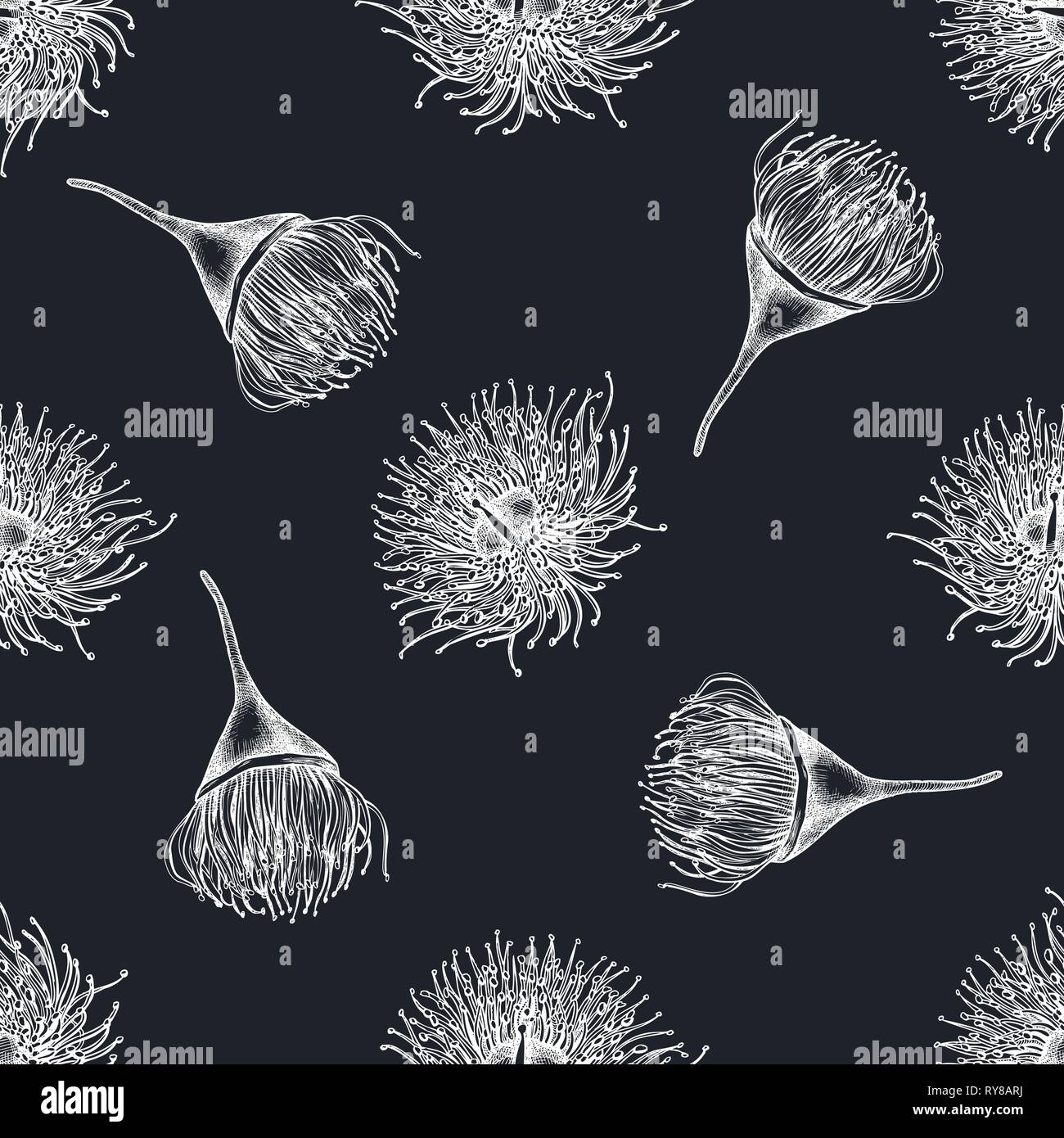 Seamless pattern with hand drawn chalk eucalyptus flower Stock Vector