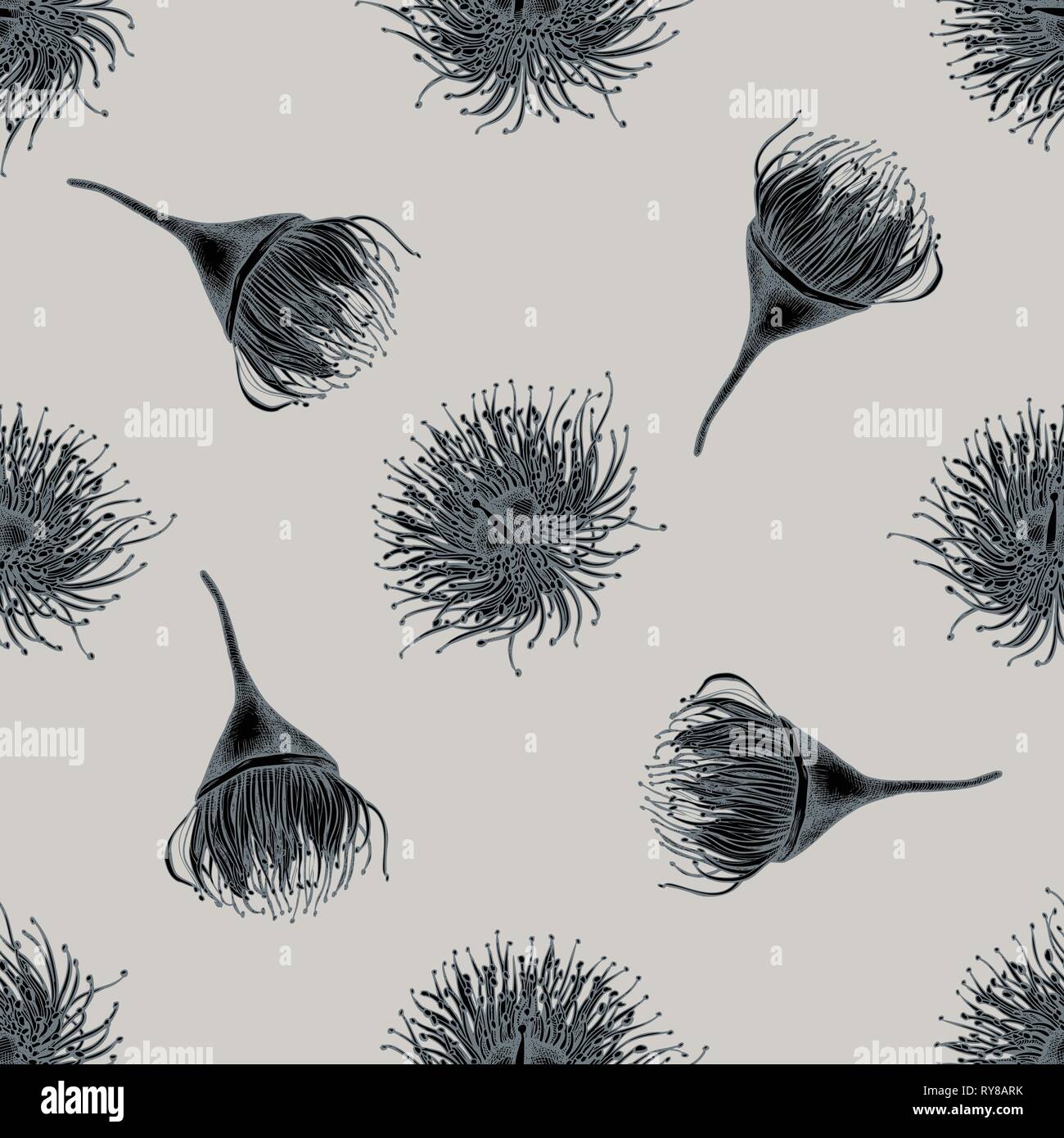 Seamless pattern with hand drawn stylized eucalyptus flower Stock Vector