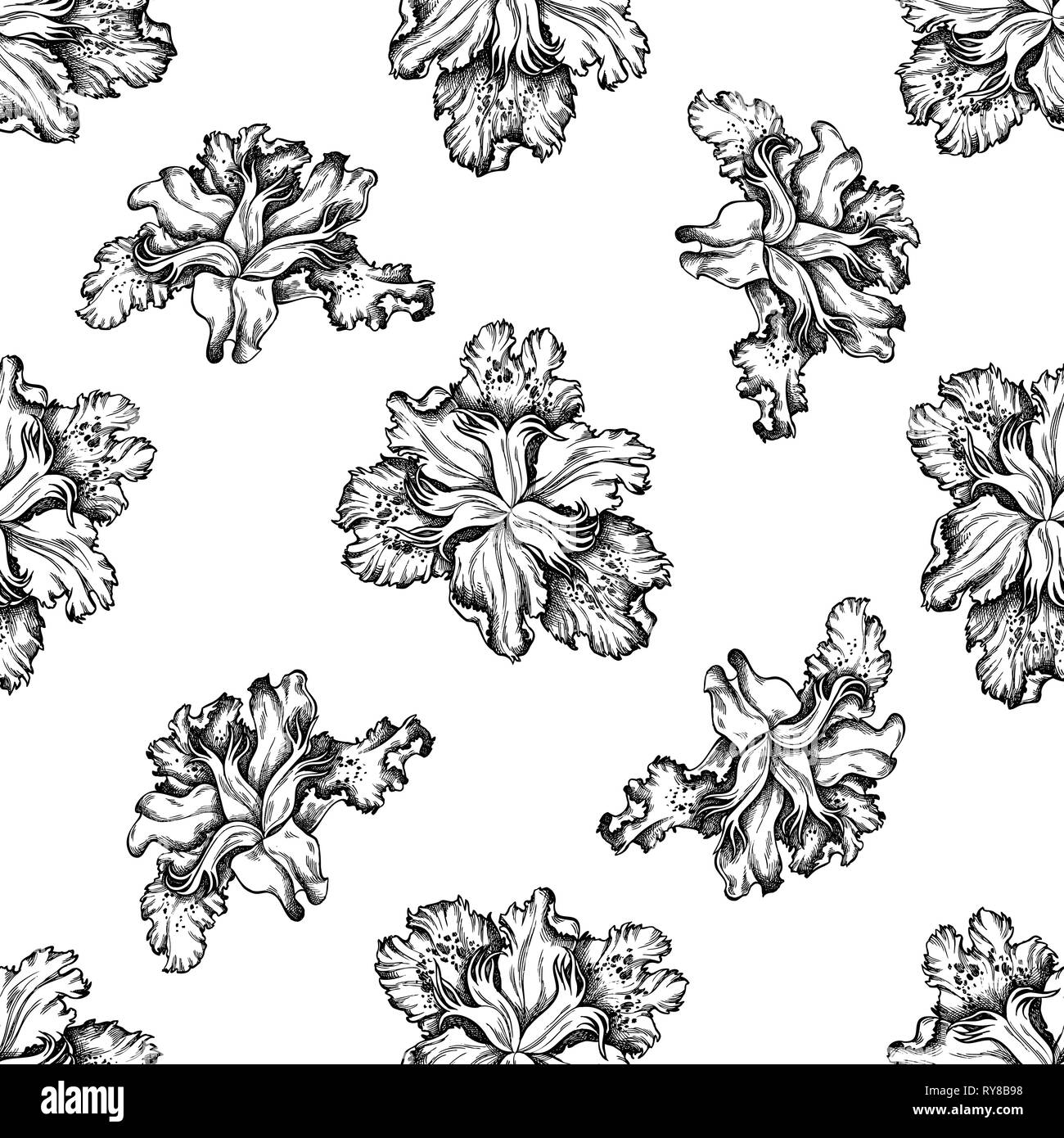Seamless pattern with black and white iris japonica Stock Vector