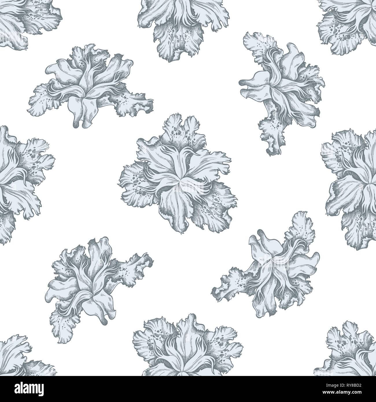 Seamless pattern with hand drawn pastel iris japonica Stock Vector