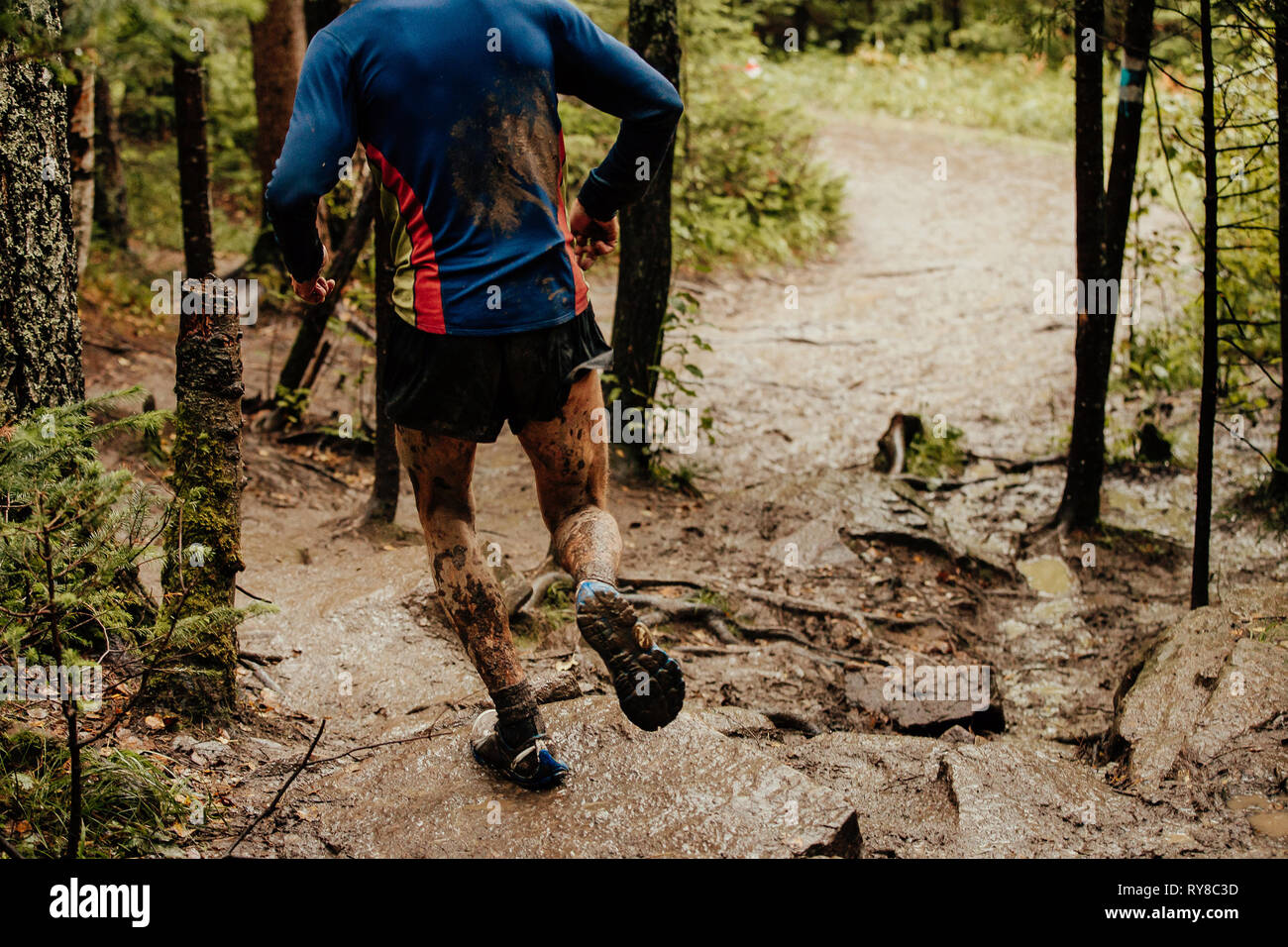 Trail runner runners back hi-res stock photography and images - Alamy