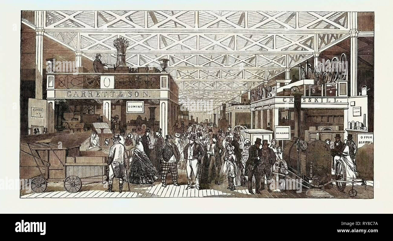 The Agricultural Department, the Extra Attraction of the Cattle Show at Windsor Has Brought an Immense Number of Agriculturalists from All Parts of England, and, As May Be Expected, Class 9 of the Greatest Exhibition Has Been Unusually Crowded of Late Stock Photo
