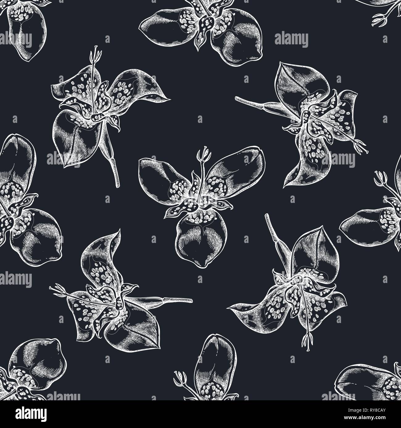 Seamless pattern with hand drawn chalk tigridia Stock Vector
