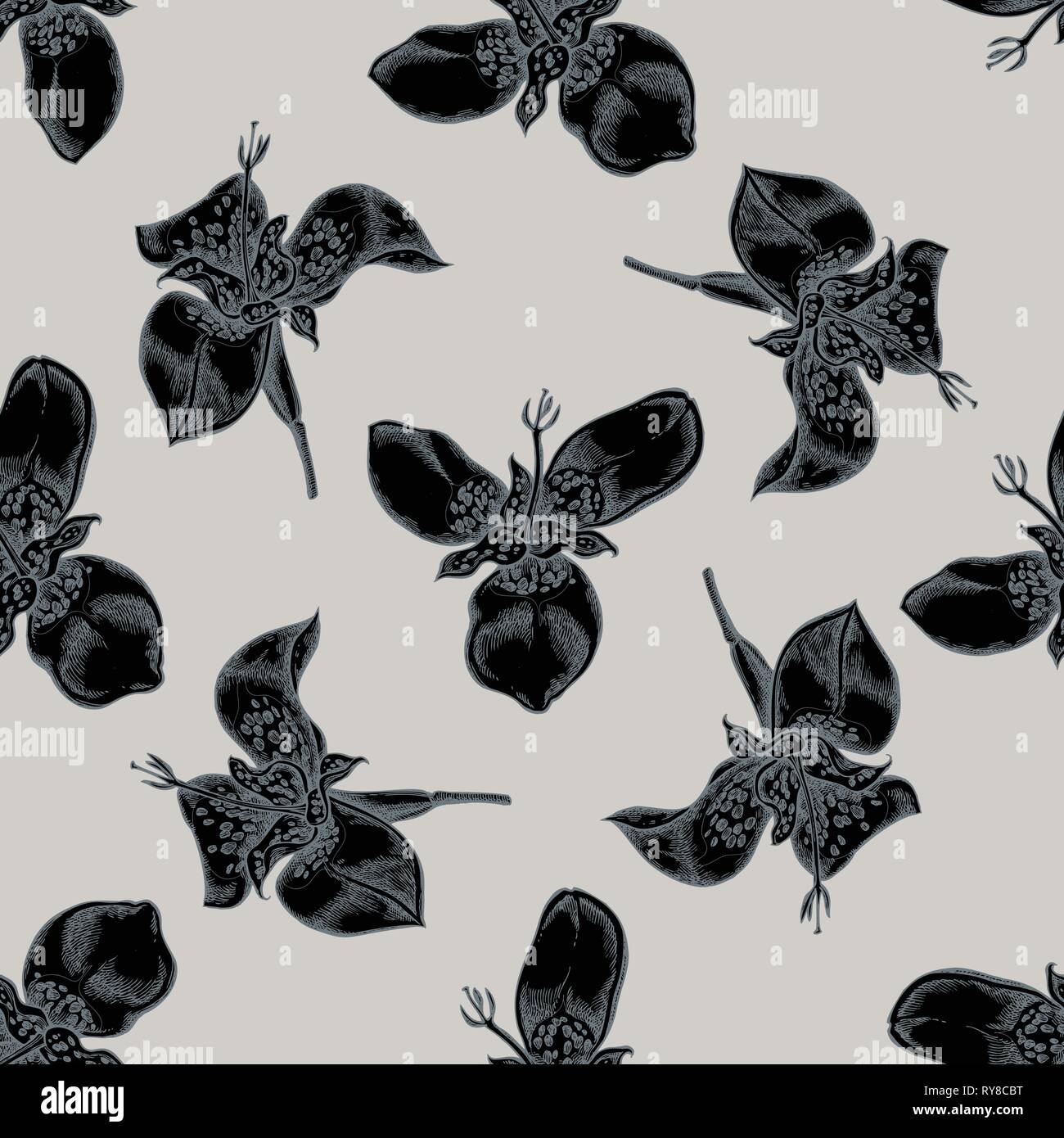 Seamless pattern with hand drawn stylized tigridia Stock Vector