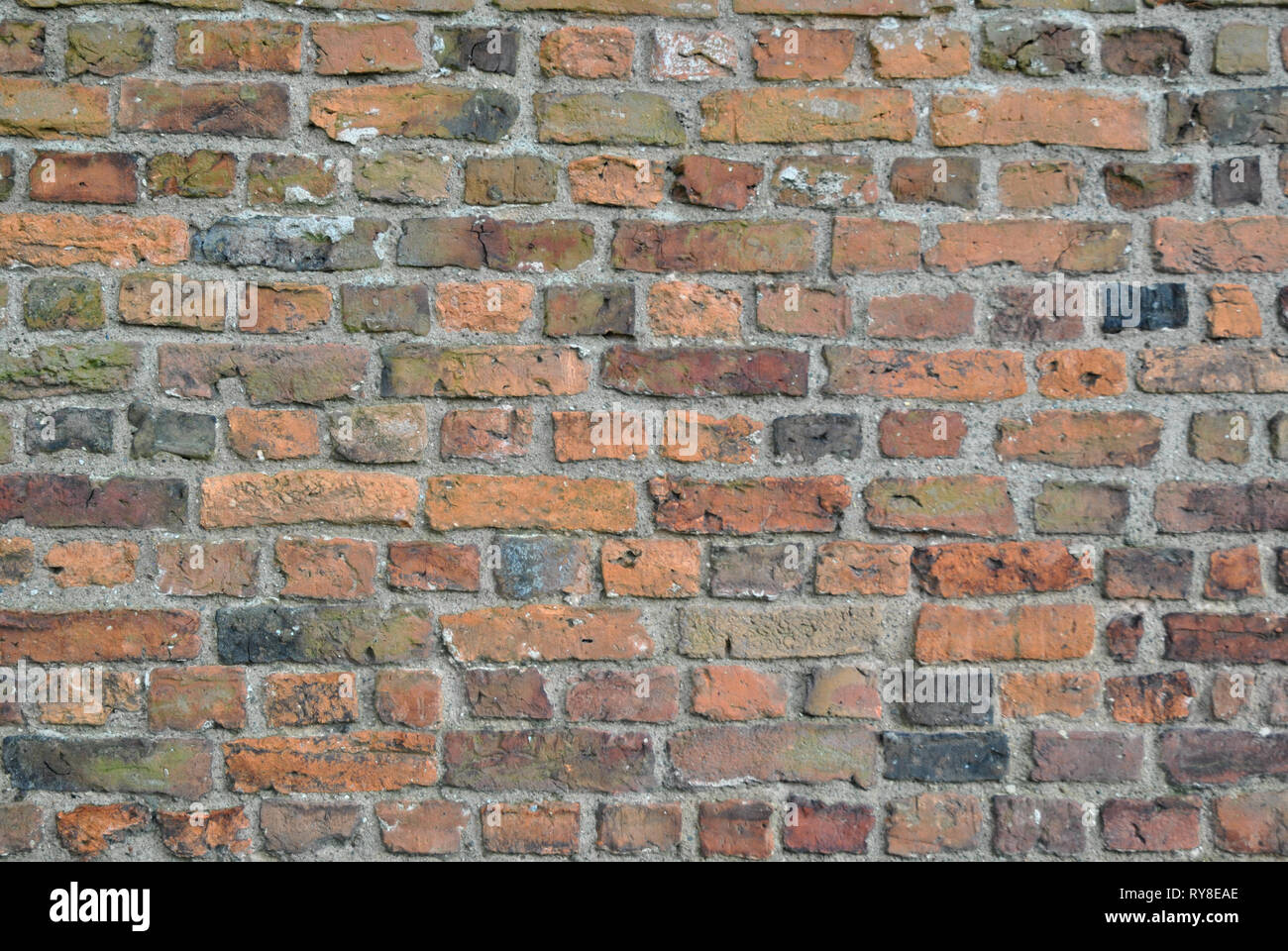 Weathered Red Brick Wall Texture Seamlessly 4K Stock Photo Alamy ...