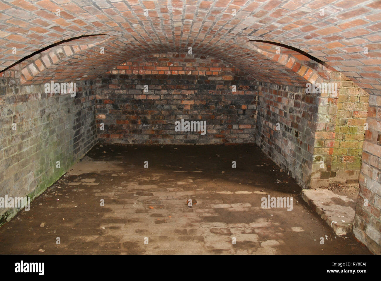 An old underground cellar with a brick built arched roof Stock Photo