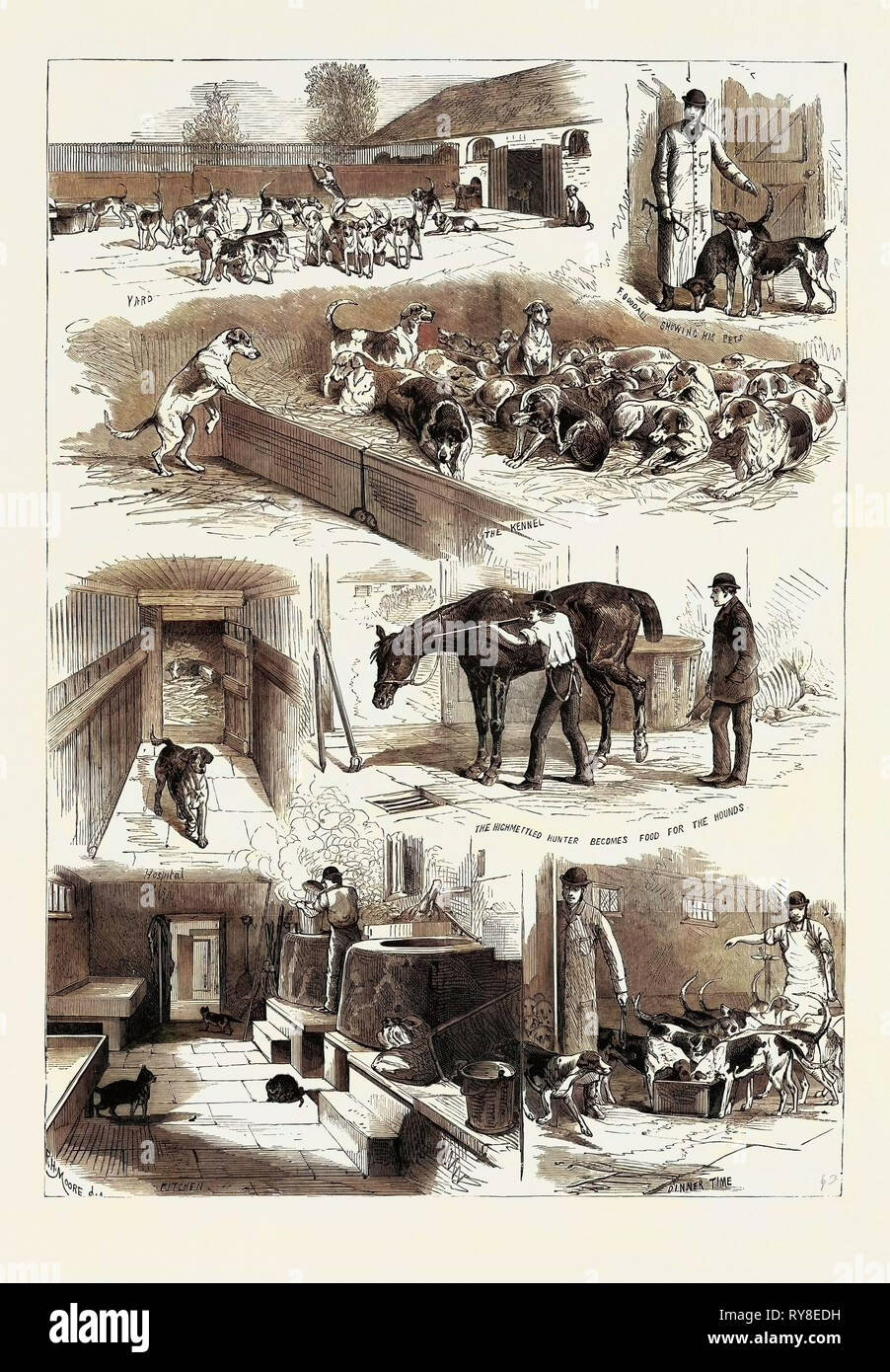 The Royal Buckhounds The Kennels at Ascot 1880 Stock Photo Alamy