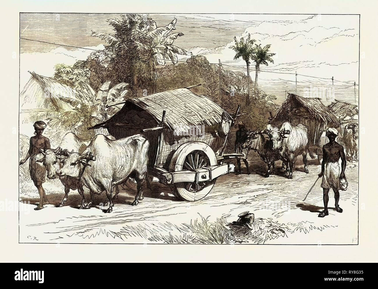 The Famine in Bengal: Bullock Hackeries for Carrying Grain 1874 Stock Photo