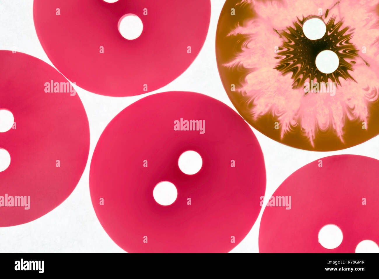close up of round buttons in the pantone colour of the year - living coral Stock Photo
