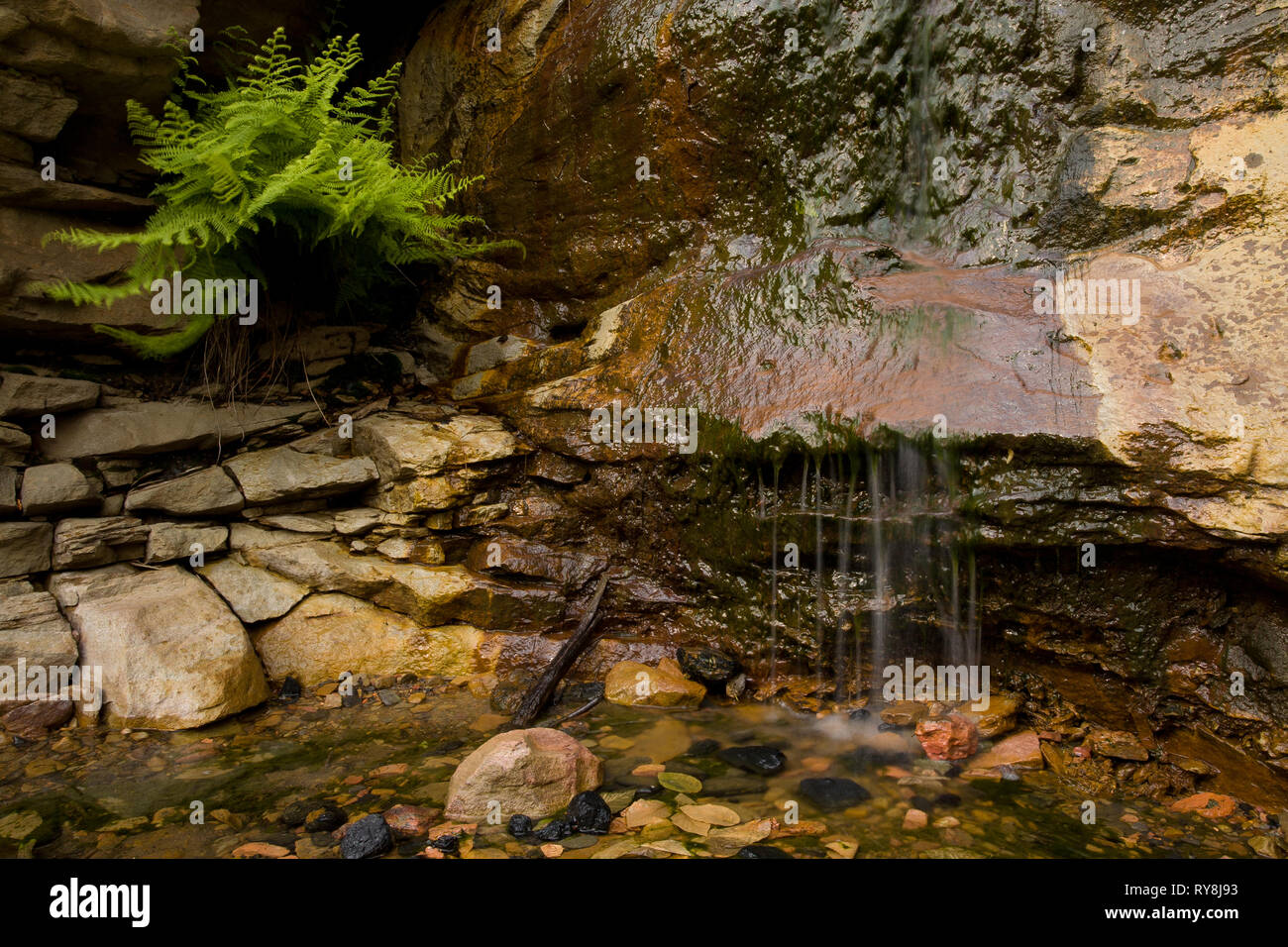 Paint Creek, Fayette County, West Virginia, USA Stock Photo Alamy