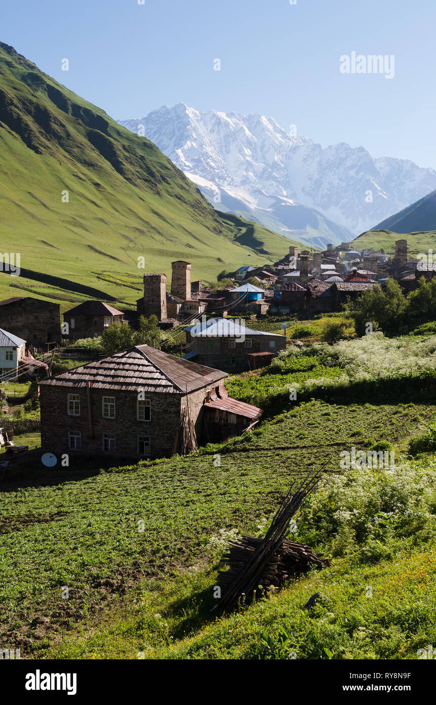 Summer mountain landscape with a snowy peak and a green valley. Old village with stone houses and medieval towers. Ushguli community. View of Shkhara  Stock Photo