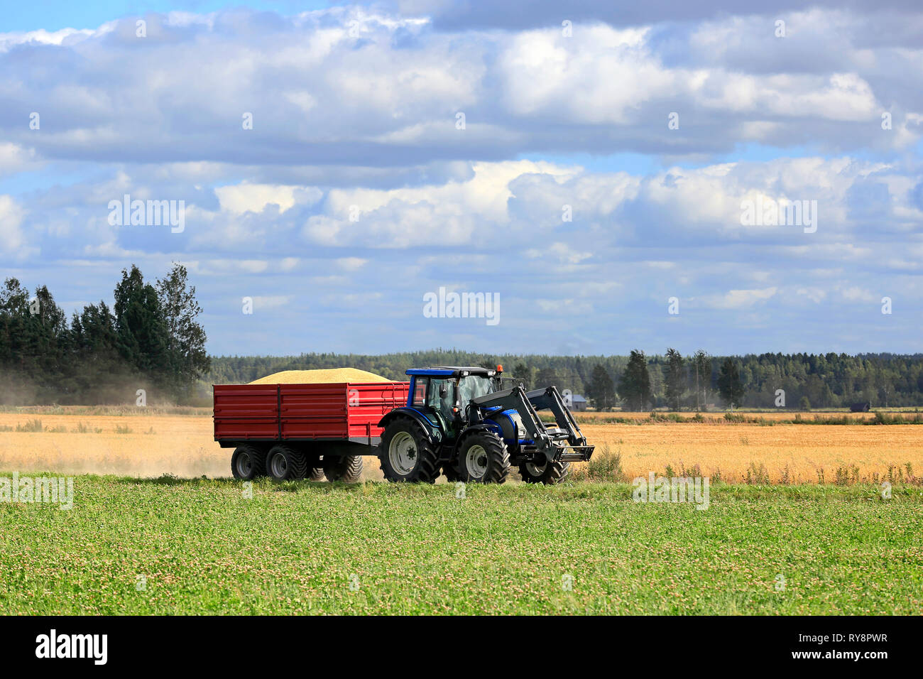 Farm tractor pulls agricultural trailer load of harvested grain along small rural road in Finnish countryside under blue sky and white clouds. Stock Photo