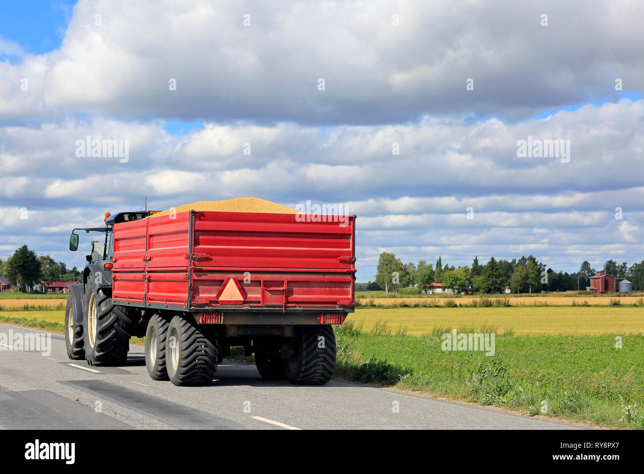 Tractor pulls red agricultural trailer with a full load of harvested grain along country road on a sunny day in autumn harvest time. Stock Photo