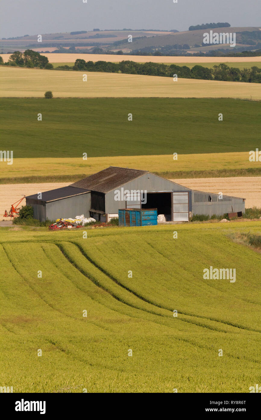 Wheat Prairie with barn nr Salisbury Plain Stock Photo