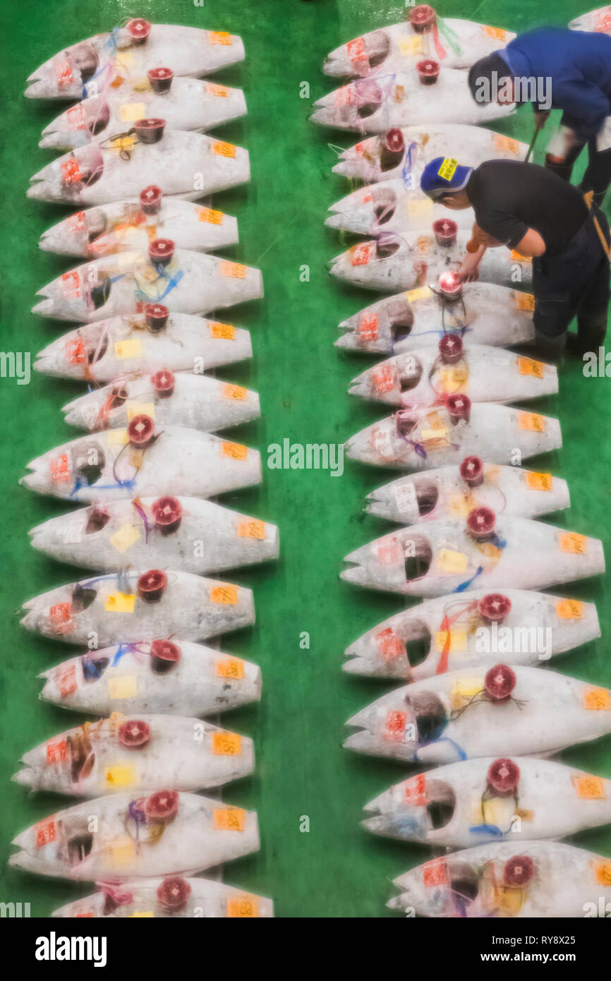 Japan, Honshu, Tokyo, Toyosu Fish Market, View of The Early Morning