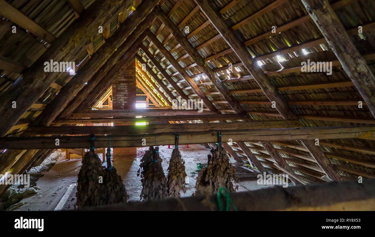 Cockloft High Resolution Stock Photography and Images Alamy