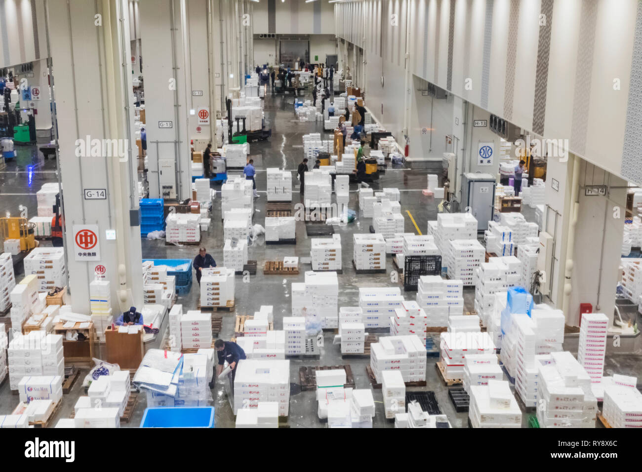 Japan, Honshu, Tokyo, Toyosu Fish Market, Packing and Packaging Area