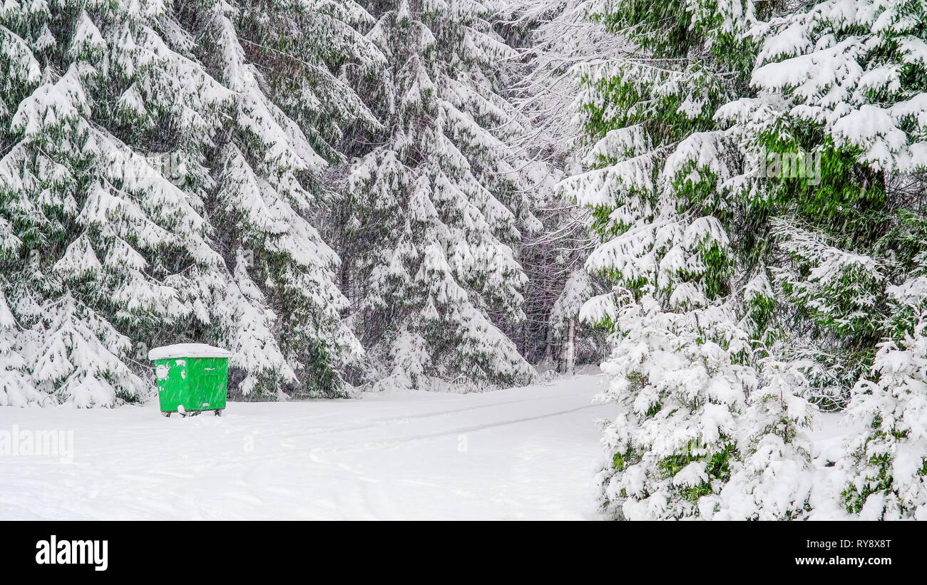 Snow melting in a forest hi-res stock photography and images - Alamy