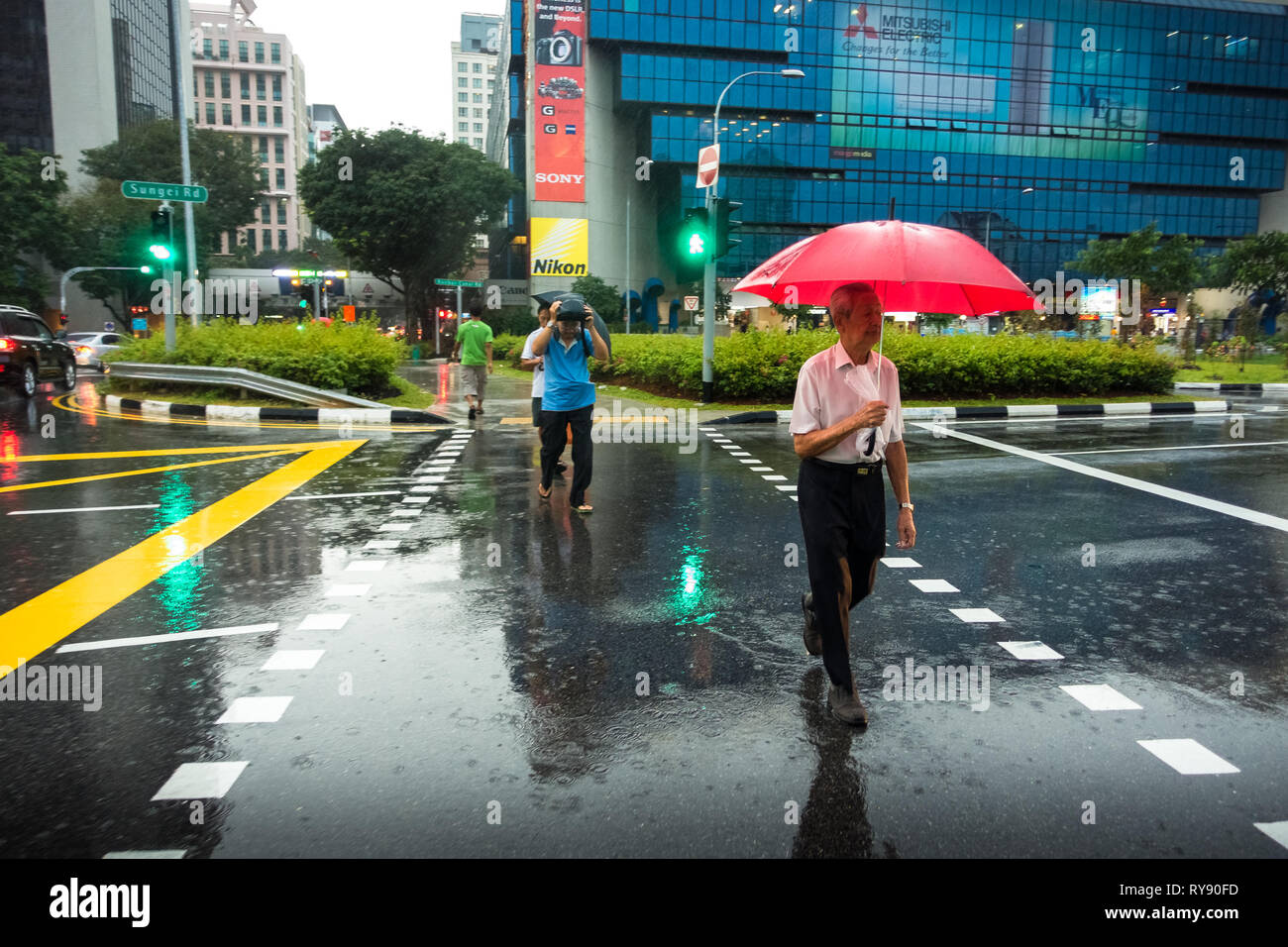 Elderly Singaporean man crossing Bukit Timah Road with Umbrella in the rain -  Sim Lim Square, Singapore Stock Photo