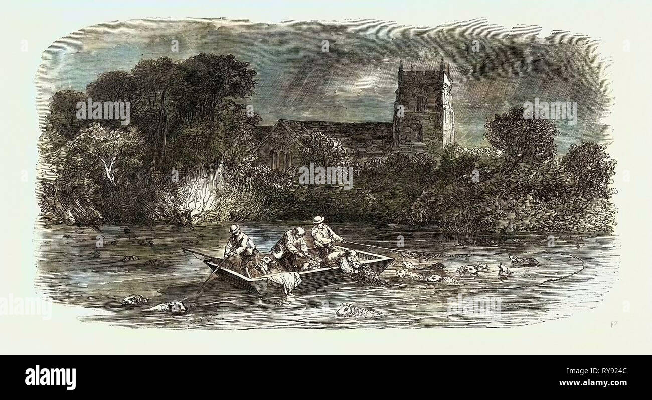 The Inundations in Worcestershire: The Inundation at Powick Ham, 1852 Stock Photo