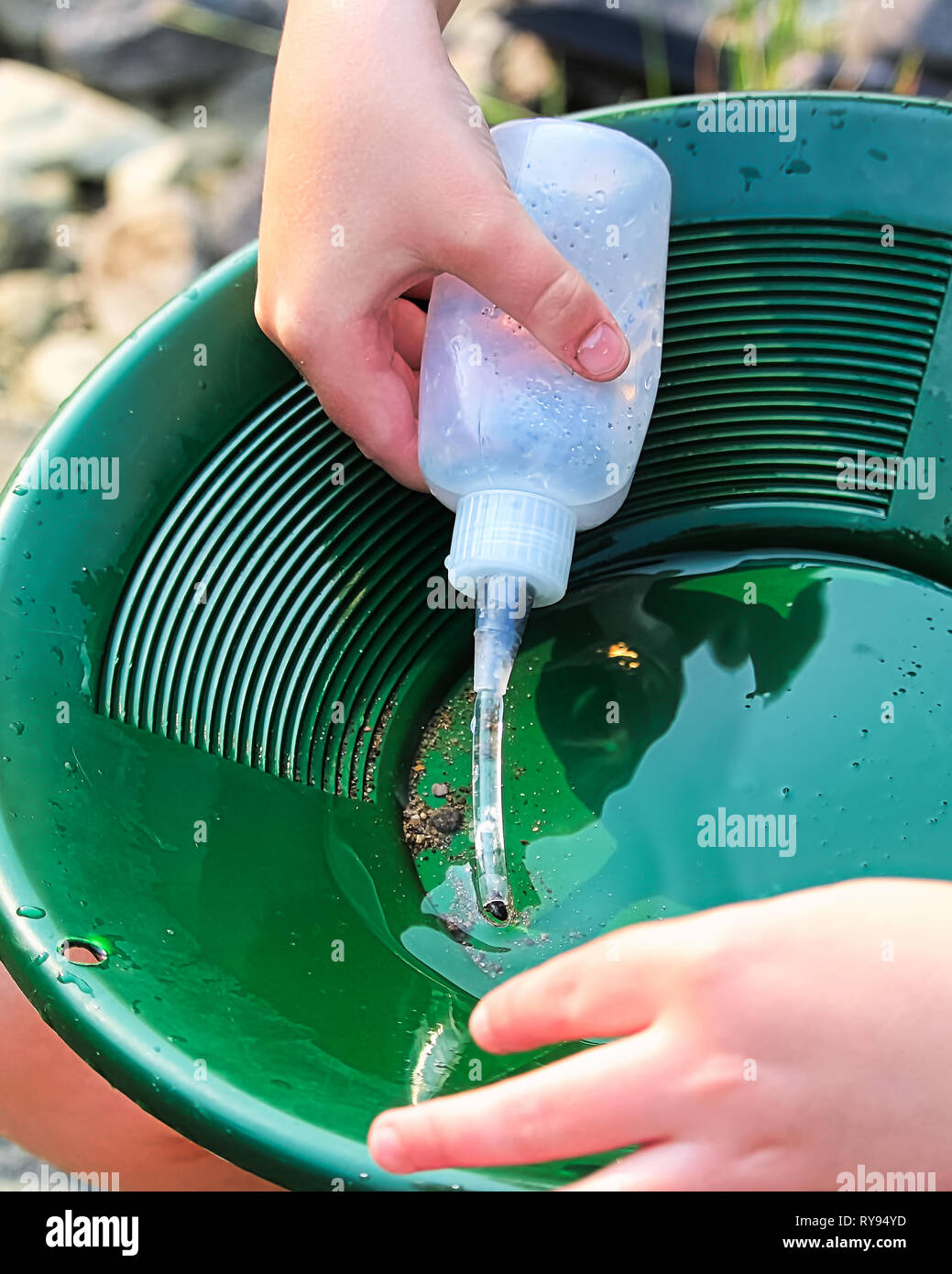 Suctioning gold particles from a pan with a snuffer bottle Stock Photo
