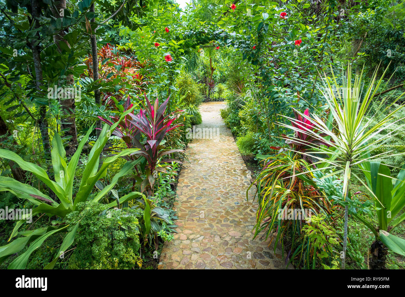 Cobblestone pathway in lush tropical garden - El Nido, Palawan - Philippines Stock Photo