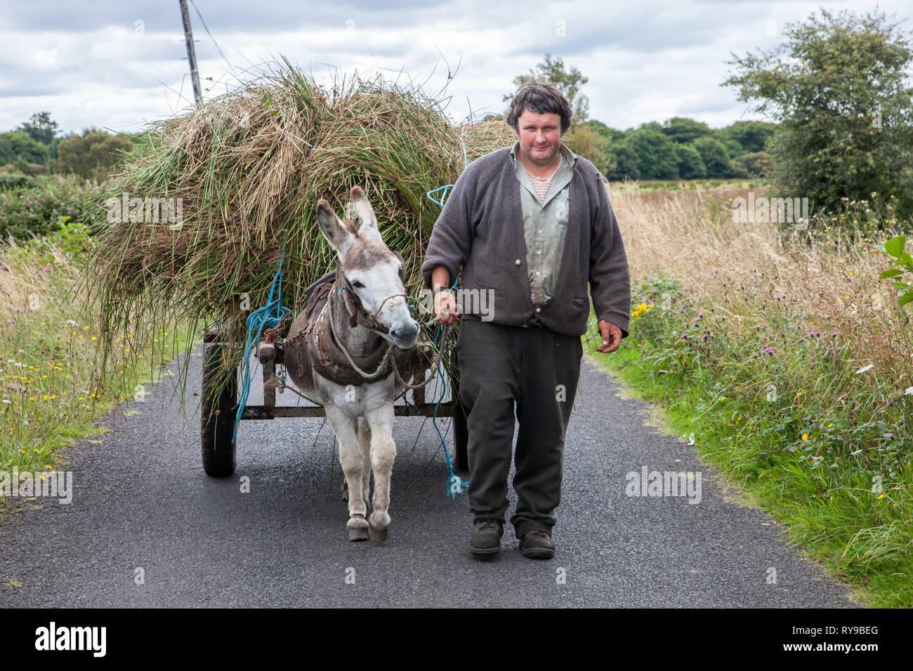 Enniscrone, Sligo, Ireland. 13th August, 2009. A farmer brings home reeds with this Donkey and cart in Enniscrone, Co. Sligo Ireland Stock Photo