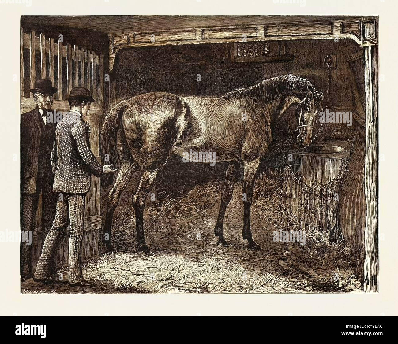 Horse, Stable, Engraving 1884, Life in Britain, UK, Britain, British, Europe, United Kingdom, Great Britain, European Stock Photo