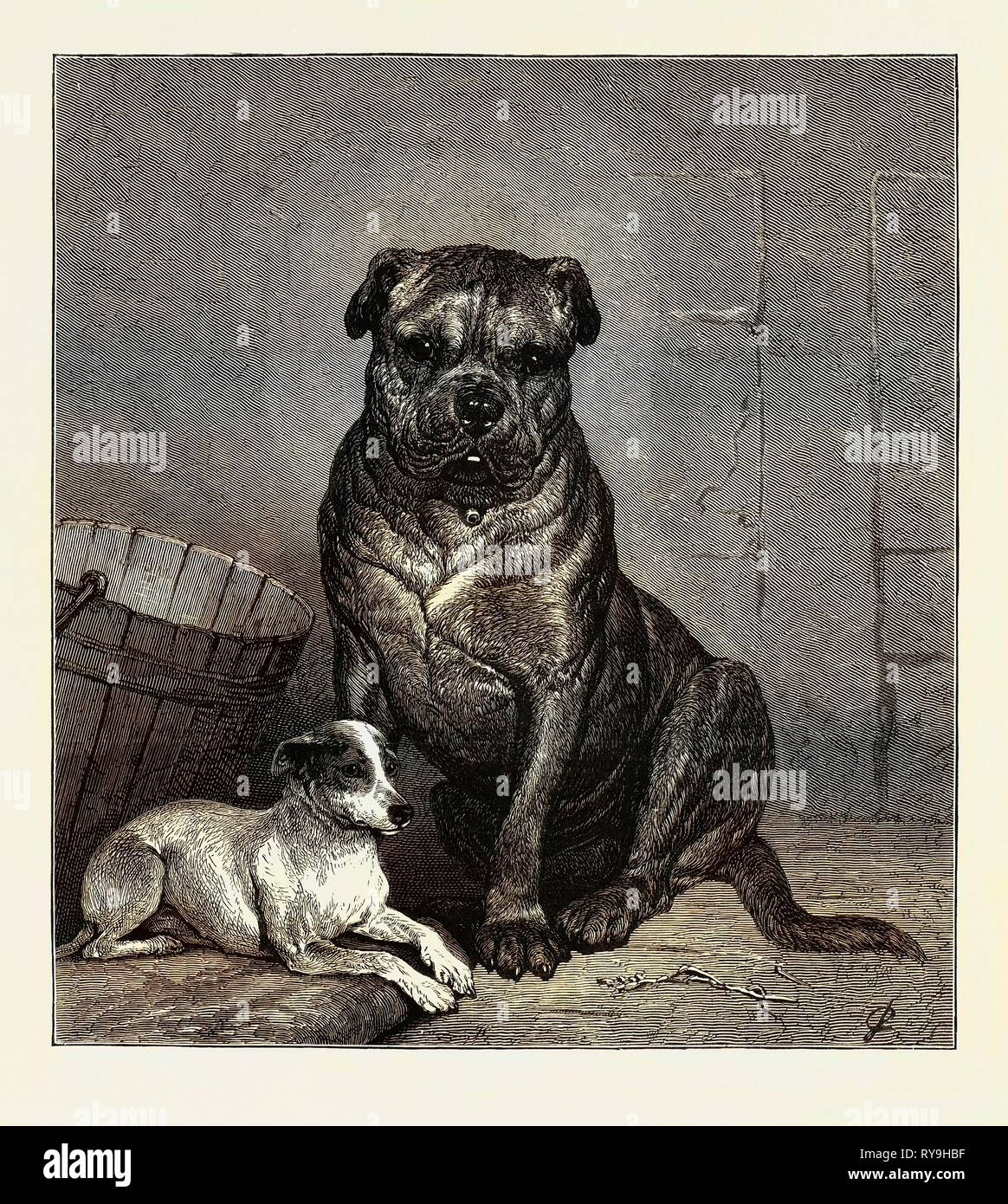 Beauty And The Beast From The Drawing By John Charlton In The Black And White Exhibition Stock Photo Alamy