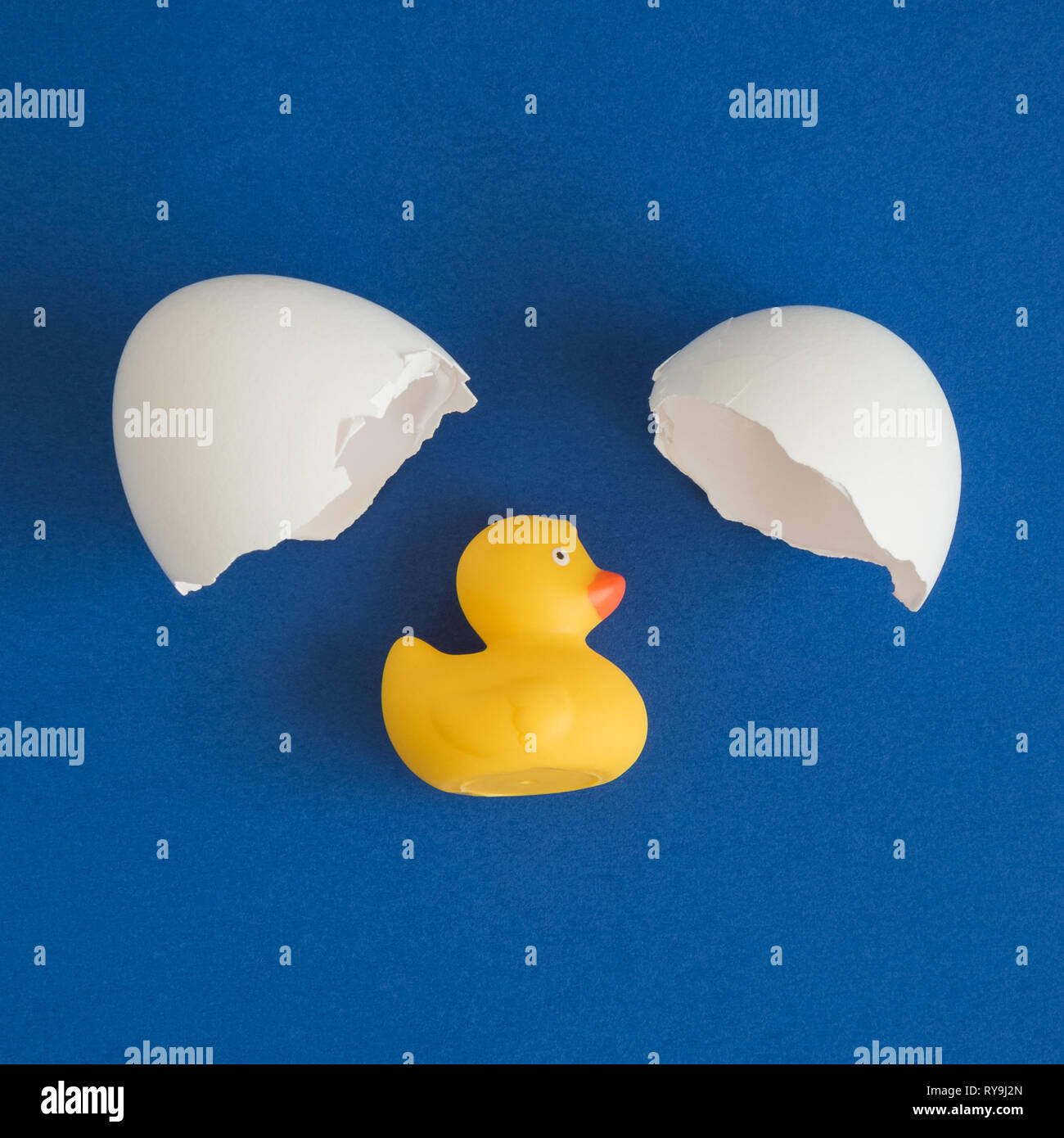 Artistic baby egg toy hi-res stock photography and images - Alamy