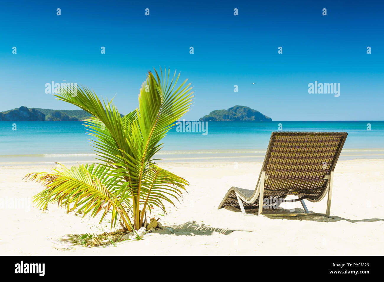 Sun sunshine palm tree hi-res stock photography and images - Alamy