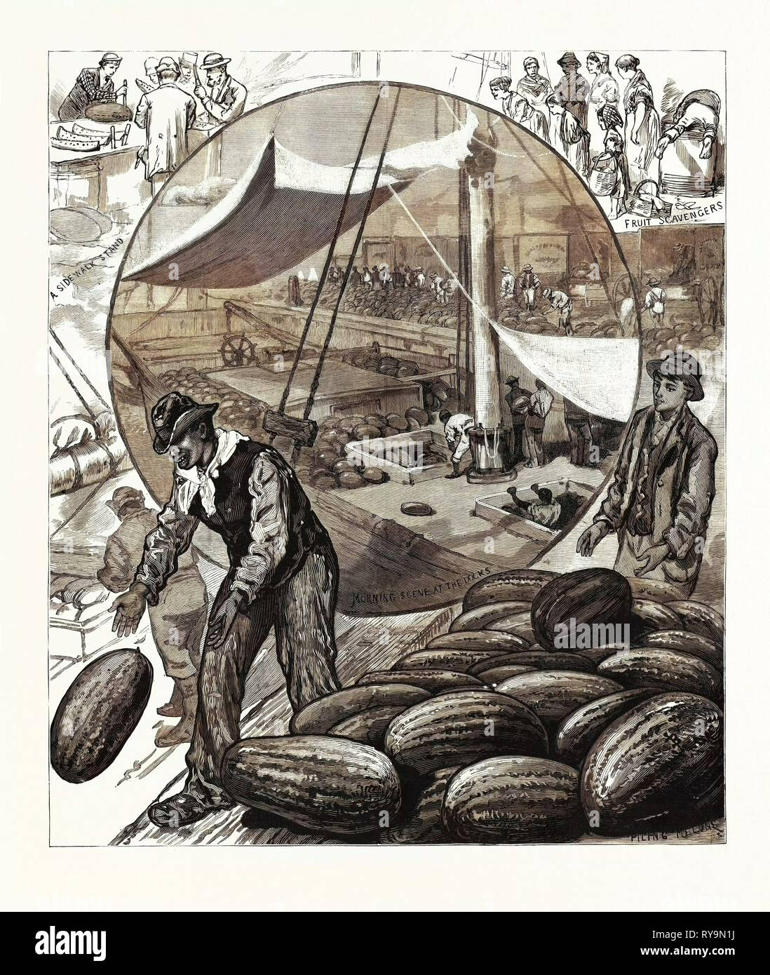 New York: Incidents of the Watermelon Trade in the Metropolis, U.S., Engraving 1880 1881 Stock Photo